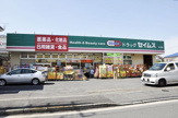 ドラッグセイムス水元店