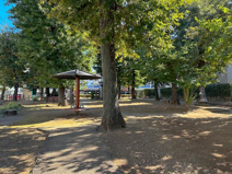 むさし野緑地公園