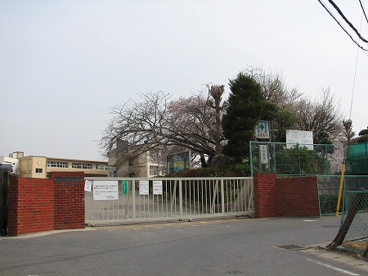 柏市立土小学校の画像1