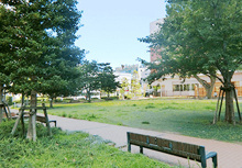 プラタナス公園