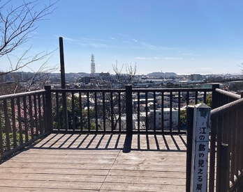 伊勢山緑地の画像1