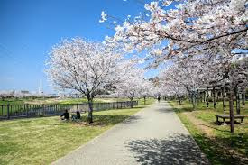 引地川親水公園の画像1