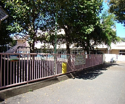 高円寺東保育園の画像1