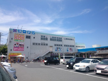 ホームセンターコーナン 金岡蔵前店