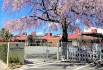 昭島すみれ幼稚園