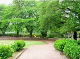 清瀬中央公園