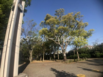 牛川遊歩公園