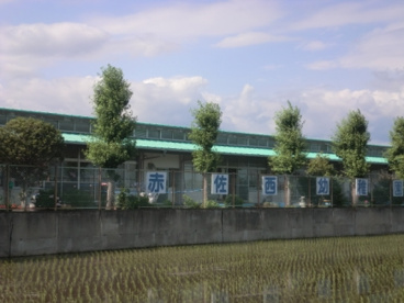 浜松市役所　赤佐西幼稚園の画像1