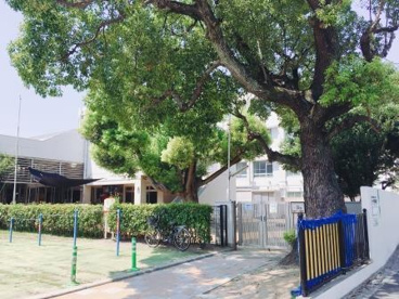 いづみ保育園の画像2