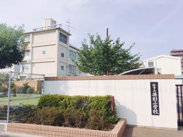 堺市立英彰小学校の画像5