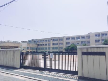 堺市立榎小学校の画像5