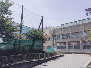 堺市立津久野小学校の画像5