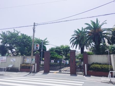 堺市立錦綾小学校の画像3