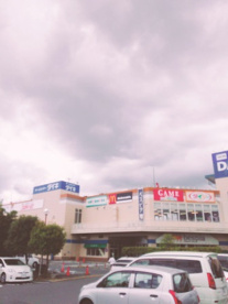 DCMダイキ 堺インター店の画像4