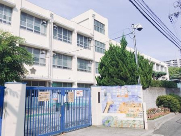 堺市立市小学校の画像5