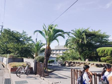 堺市立三原台中学校の画像4