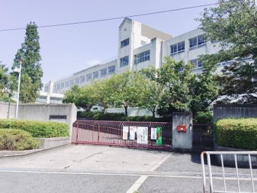 堺市立新浅香山小学校の画像3
