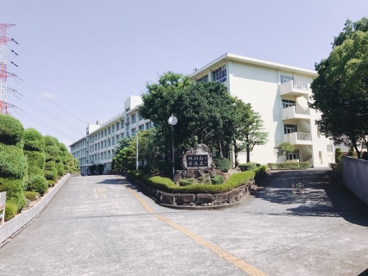 大阪府立成美高等学校の画像3
