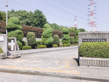 大阪府立成美高等学校の画像5