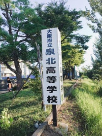 大阪府立泉北高校の画像5
