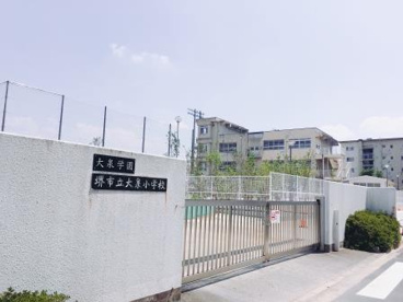 堺市立大泉小学校の画像1