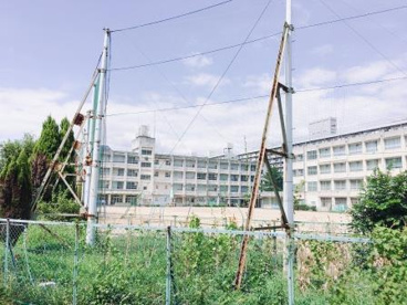 堺市立中百舌鳥小学校の画像3