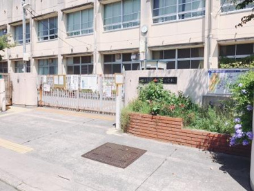 堺市立浜寺昭和小学校の画像3