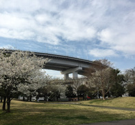 公園 ヨコソーレインボータワー 公開空地