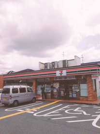 セブンイレブン 堺堀上緑町店の画像3