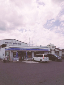 ローソン 堺鶴田町店の画像4