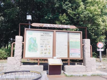 大阪府営 大泉緑地の画像2