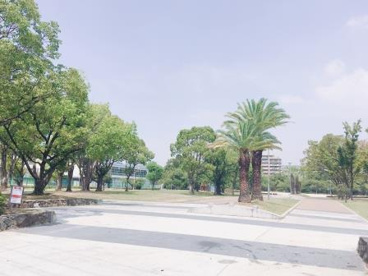 金岡東第1公園の画像4