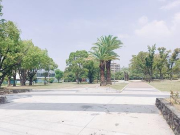 金岡東第1公園の画像5