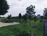 船堂公園