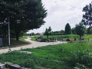 船堂公園の画像2