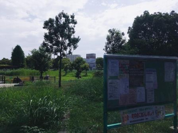 船堂公園の画像3