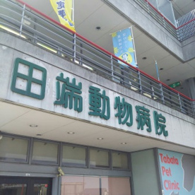 田端動物病院の画像1