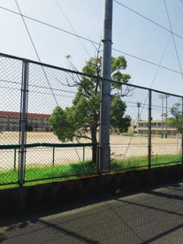 堺市立美原西中学校の画像4