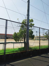堺市立美原西中学校の画像5