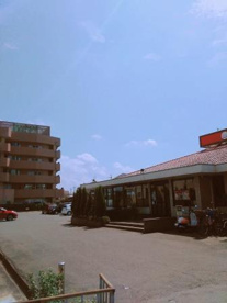 和食さと 河内松原店の画像3