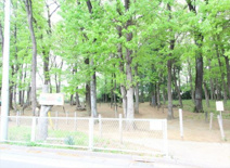 宮本ふれあいの森