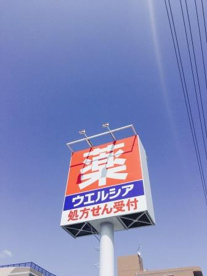 ウエルシア堺菩提店の画像3