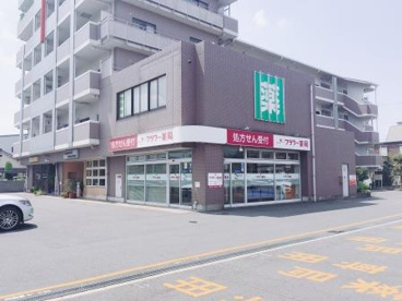 フラワー薬局金岡公園前店の画像2