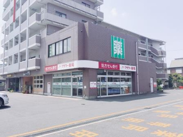 フラワー薬局金岡公園前店の画像3