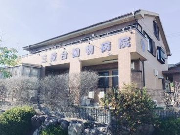 三原台動物病院の画像2