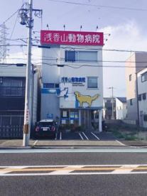 浅香山動物病院の画像1