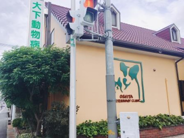 大下動物病院の画像2