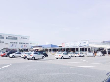 ホームセンターコーナン 金岡蔵前店の画像1