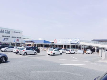 ホームセンターコーナン 金岡蔵前店の画像3