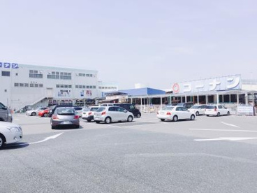 ホームセンターコーナン 金岡蔵前店の画像4